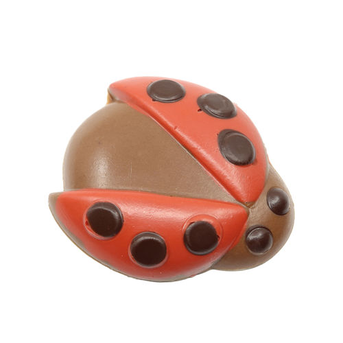 Afbeelding van Lieveheersbeestjes