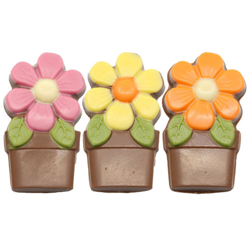 Afbeelding van Bloem in pot ass.